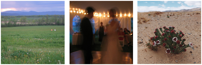 Flower girls, first dance, Tibetan blossom